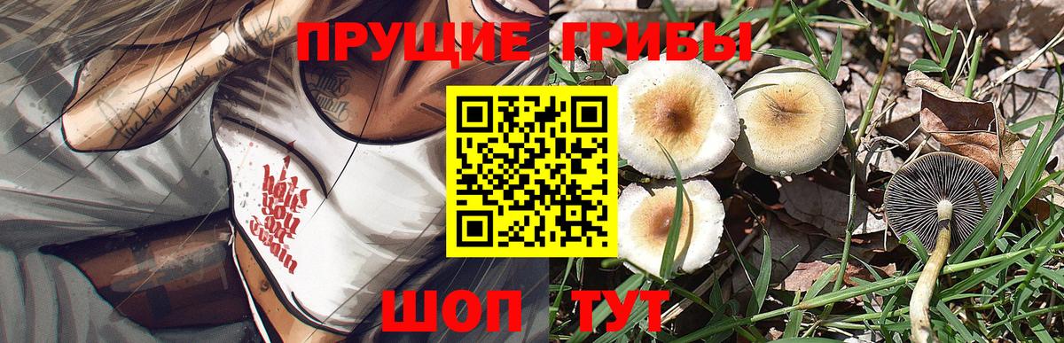 Каменск-Шахтинский  Псилоцибиновые грибы ЛСД  Вход с VPN 