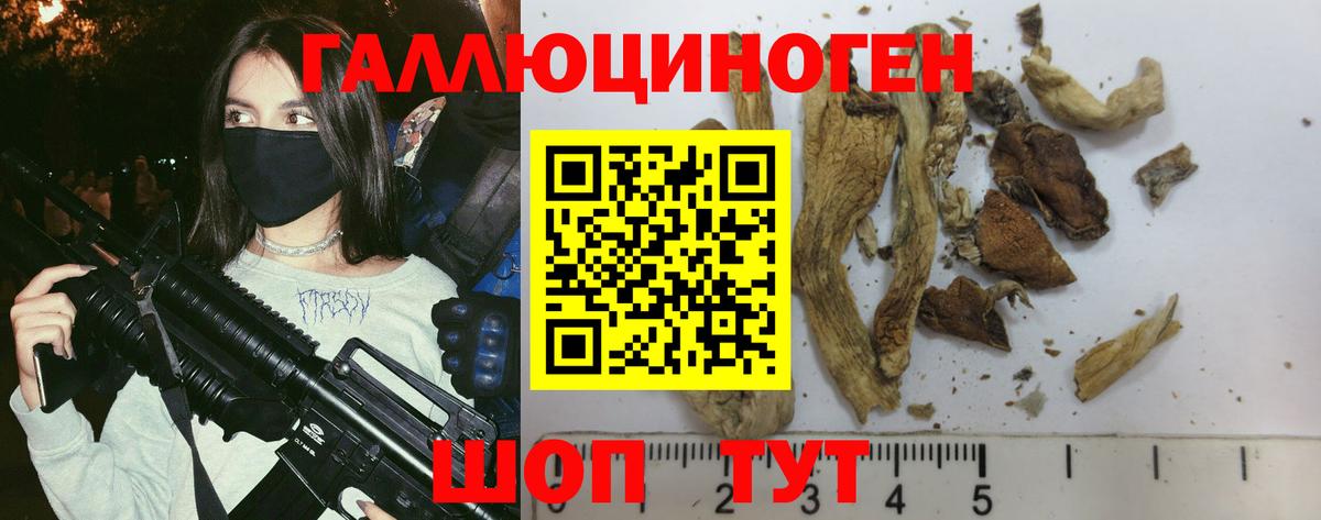 Галлюциногенные грибы Magic Shrooms Каменск-Шахтинский